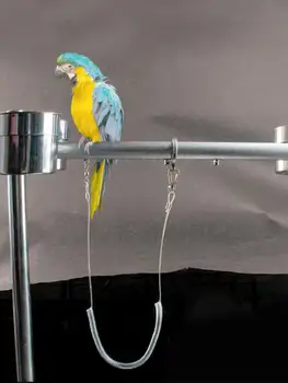 3M Ultra-leve Papagaio Pássaro Chicote Coleira Anti-mordida Exteriores, Voando Formação Corda do seu animal de Estimação para a Arara-de-Calopsita Lovebird #Todo