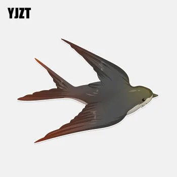 YJZT 14.5*10,7 CM mais legal Engolir Aves Coloridas PVC Decoração Adesivo de Carro 11A0272