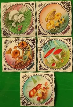 5 PCS,Mongólia Pós Carimbo,1985,Cogumelo,Selos Coleção de selos,Usados com Pós Marca